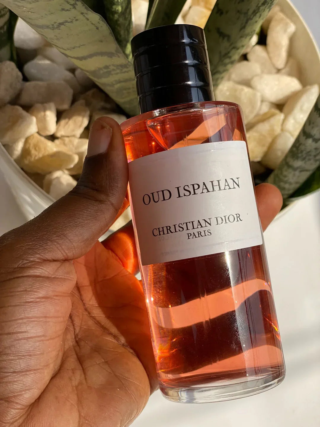 CHRISTIAN DIOR OUD ISPAHAN EDP - 125ml